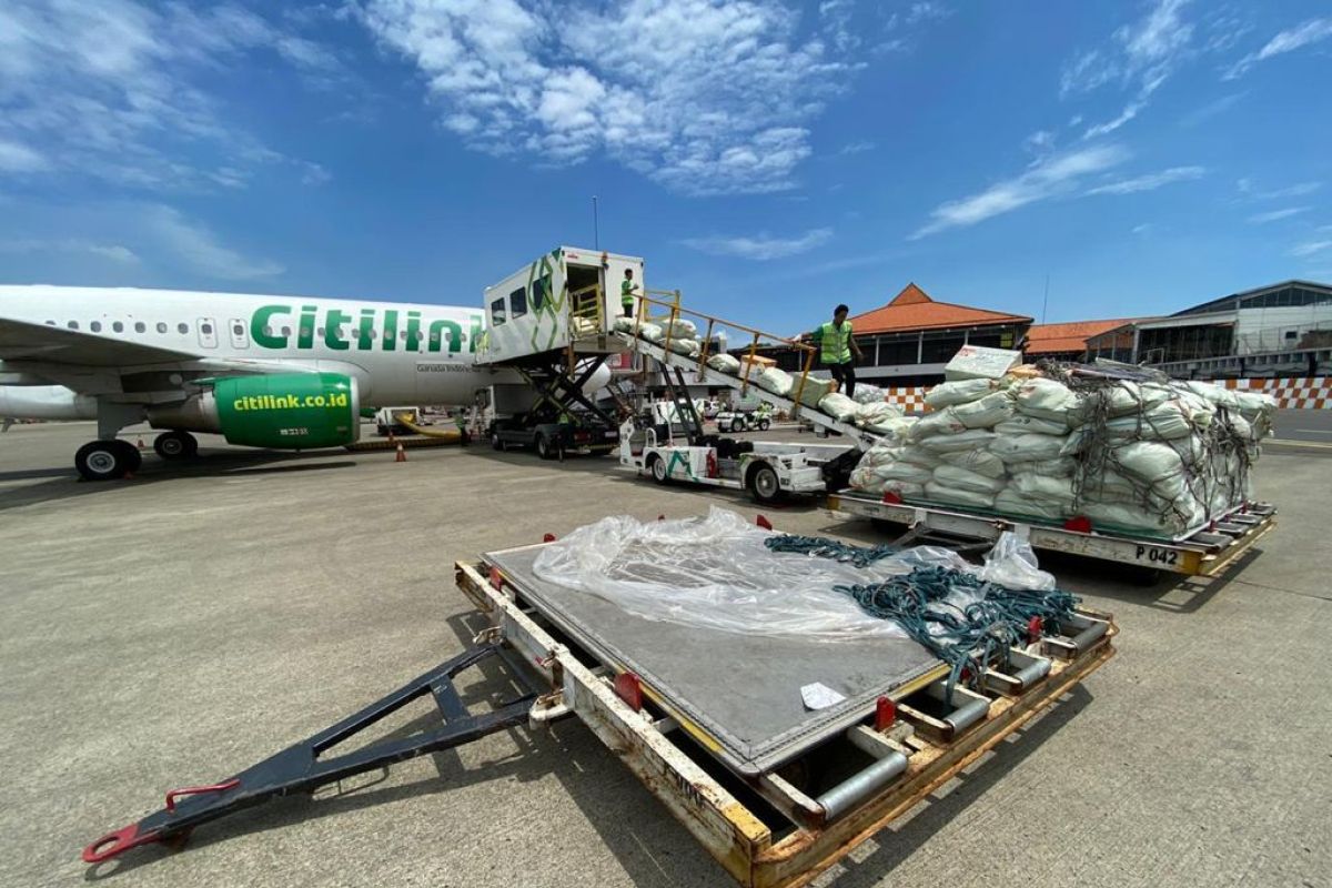 harga cargo pesawat per kilo