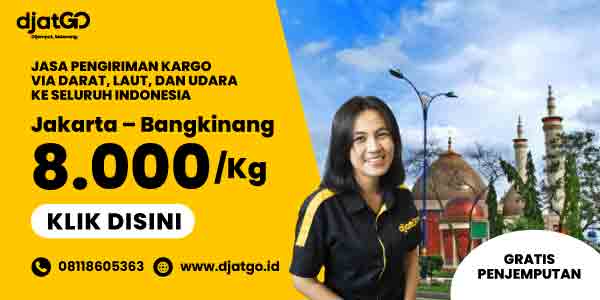 Ekspedisi Jakarta Bangkinang