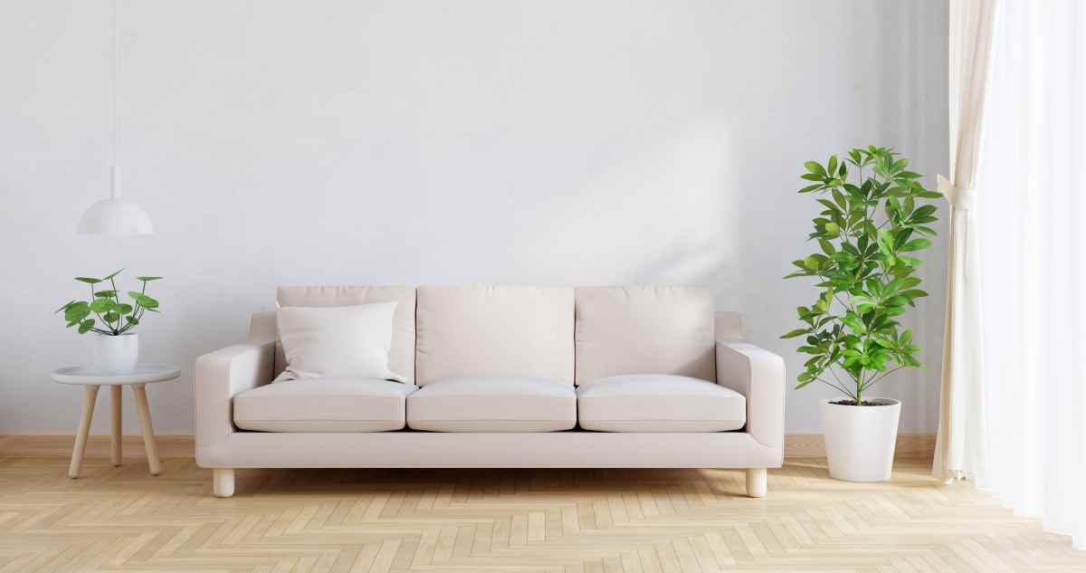 barang yang harus dibawah saar pindah rumah yaitu sofa