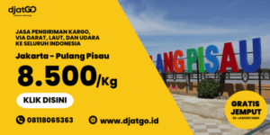 Ekspedisi Jakarta Pulang Pisau