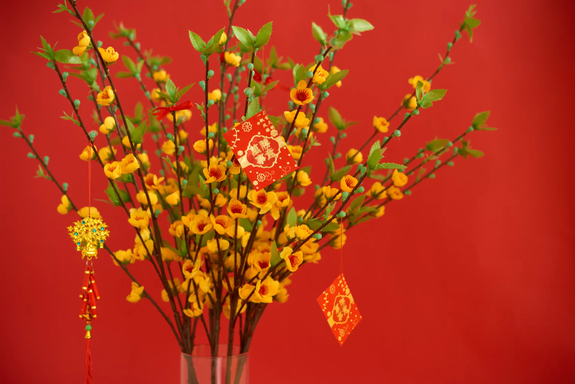 Pohon Angpau