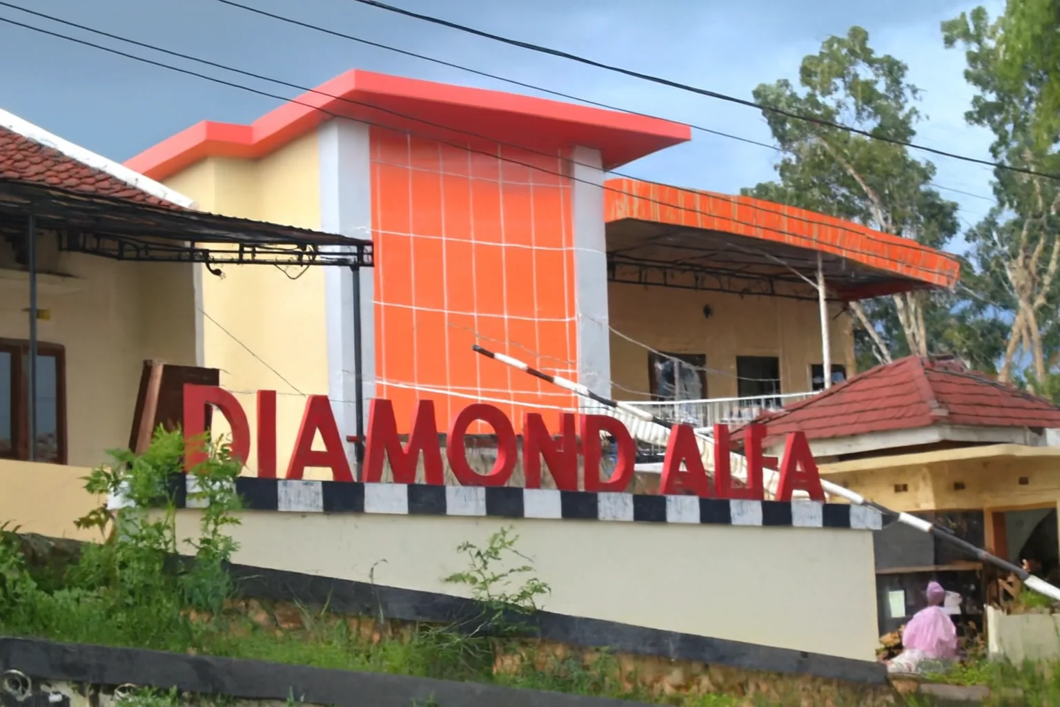 Diamond Alfa